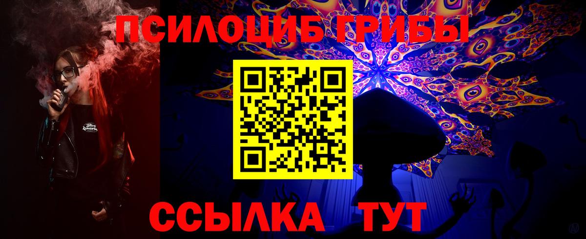 Кимры  Каннабис  ЭКСТАЗИ  Вход с VPN  ГАШИШ  МЕФ кристаллы  COCAIN  КОКАИН  ГАШИШ 