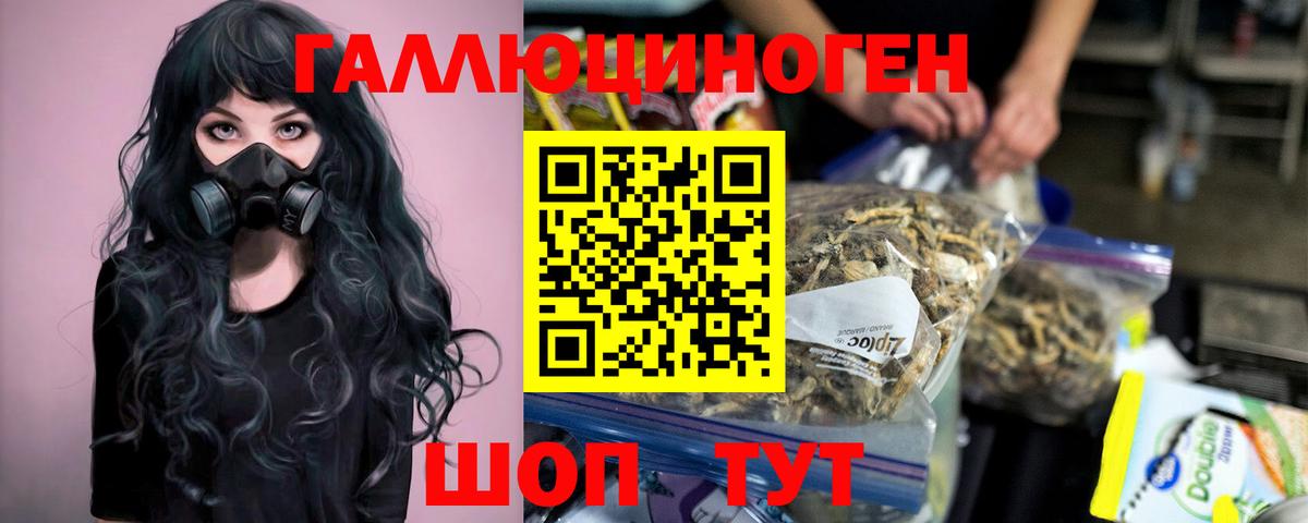 Псилоцибиновые грибы мицелий  Галлюциногенные грибы GOLDEN TEACHER  Вход с VPN  Кимры 